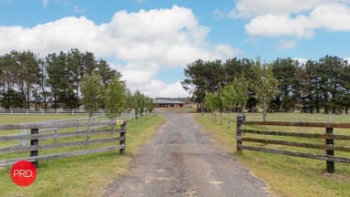 Property 42 Burrabinga Road, Tarago NSW 2580 IMAGE 0