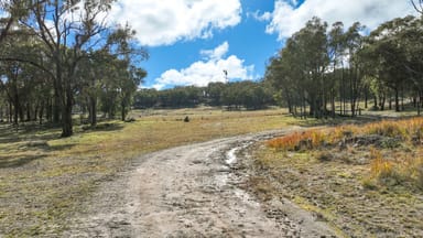 Property 504 Roseneath Road, WATSONS CREEK NSW 2355 IMAGE 0