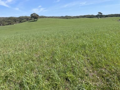 Property 175 Pethers Lane, Canunda SA 5280 IMAGE 0