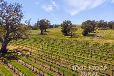 Property 705 Craneford Road, Flaxman Valley SA 5235 IMAGE 0