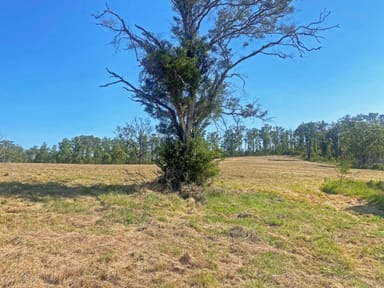 Property 2181 Bulga Road, BOBIN NSW 2429 IMAGE 0