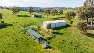 Property 13703 Hume Highway, MULLENGANDRA NSW 2644 IMAGE 0