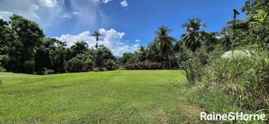 Property 1295 MOSSMAN DAINTREE ROAD, Rocky Point QLD 4873 IMAGE 0