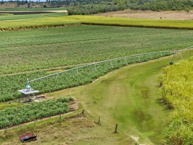 Property 40 Mandersons Road, McIlwraith QLD 4671 IMAGE 0