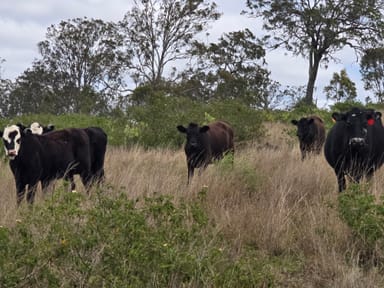 Property Lot 400 Schick Road, Thornville QLD 4352 IMAGE 0