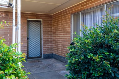 Property 49 Tonkin Avenue, Barmera SA 5345 IMAGE 0