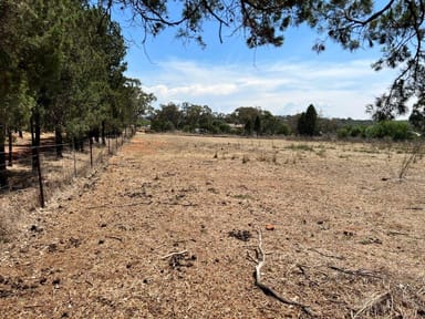 Property 46 Payne Street, Geurie NSW 2818 IMAGE 0