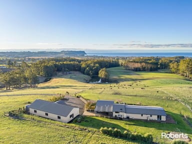 Property 152 Whitsitts Road, Wynyard TAS 7325 IMAGE 0