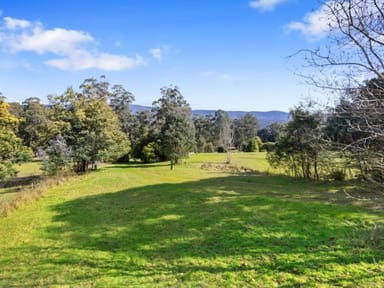 Property 1260 Maroondah Highway, Narbethong VIC 3778 IMAGE 0