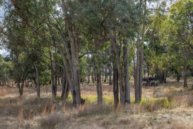 Property 222 Nundubbermere Road, Greenlands QLD 4380 IMAGE 0