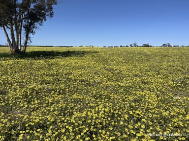 Property . 'Yooralling', CUNDERDIN WA 6407 IMAGE 0