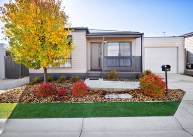 Property 11 Frampton Street, Lucas VIC 3350 IMAGE 0
