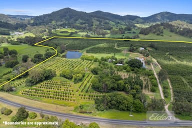 Property 1565 Tin Can Bay Road, Goomboorian QLD 4570 IMAGE 0