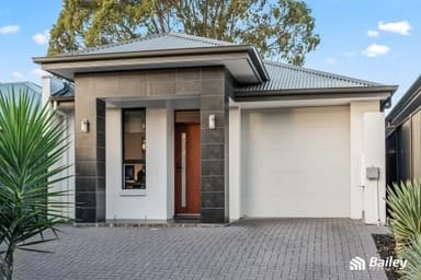 Property 19 Shepherd Street, Ridgehaven SA 5097 IMAGE 0