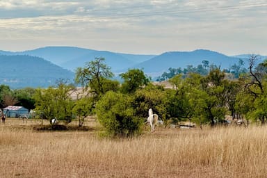 Property 865 Saddletop Road, Upper Pilton QLD 4361 IMAGE 0