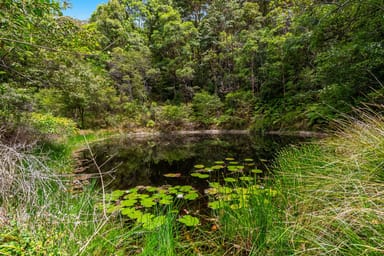 Property 110 Mcandrews Lane, Pimlico NSW 2478 IMAGE 0