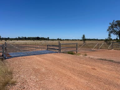 Property Lot 4 Chinchilla-Tara Road, Wieambilla QLD 4413 IMAGE 0