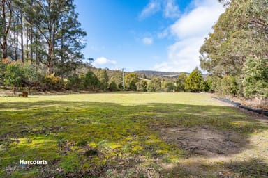 Property 2, 310 Judds Creek Road, JUDBURY TAS 7109 IMAGE 0