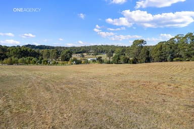 Property 2 & 3, 154 Tarleton Road, Tarleton TAS 7310 IMAGE 0