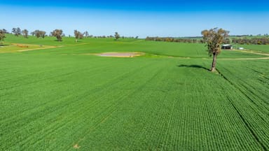 Property 1726 Howlong Burrumbuttock Road, Burrumbuttock NSW 2642 IMAGE 0
