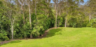 Property 10 Lilly Pilly Rise, Eumundi QLD 4562 IMAGE 0