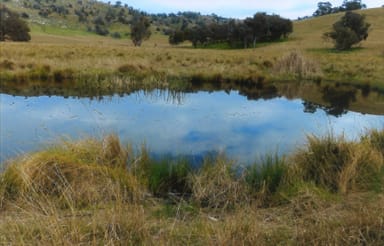 Property Hovells Creek Hovells Creek, Hovells Creek NSW 2794 IMAGE 0