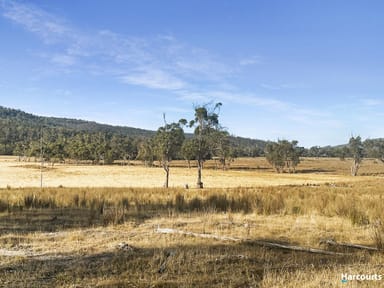 Property Lot 1, Rosedale Road, BICHENO TAS 7215 IMAGE 0