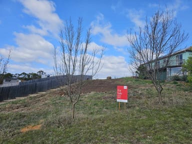 Property 20 St Margarets Court, Swansea TAS 7190 IMAGE 0