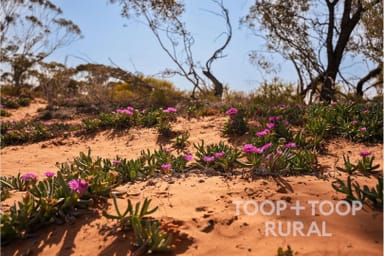 Property Lot 1265 Warnecke Road, Monash SA 5342 IMAGE 0