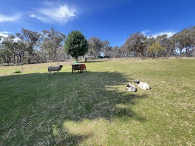 Property 285 Gumnut Crescent, Bungonia NSW 2580 IMAGE 0