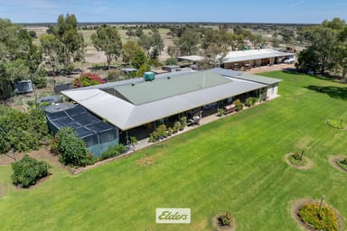 Property 490 Low Darling Road, Pomona NSW 2648 IMAGE 0