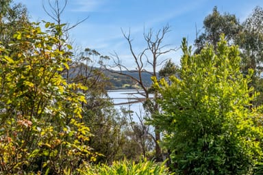 Property 38 Dillons Hill Road, GLAZIERS BAY TAS 7109 IMAGE 0