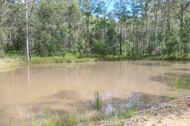 Property Lot 5 Long Gully Road, DRAKE NSW 2469 IMAGE 0