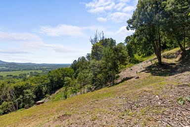 Property 1, Wilsons Creek Road, Wilsons Creek NSW 2482 IMAGE 0