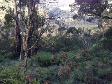 Property Lot 26 Big Jack Mountain Road, Cathcart NSW 2632 IMAGE 0