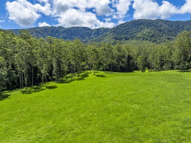 Property Thora NSW 2454 IMAGE 0