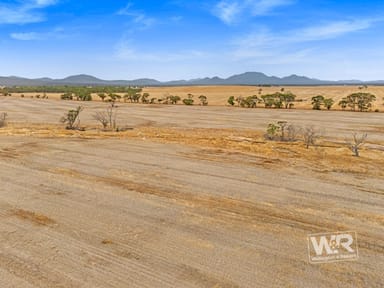 Property 439 View Range Road, Kendenup WA 6323 IMAGE 0