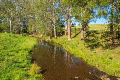 Property 785 Toms Creek Road, ELLENBOROUGH NSW 2446 IMAGE 0