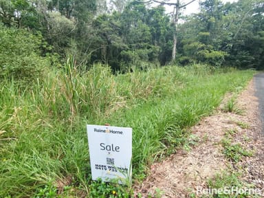 Property 68 Forest Creek Road, Daintree QLD 4873 IMAGE 0