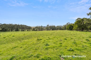 Property 1 Doreys Road, Scotts Creek VIC 3267 IMAGE 0