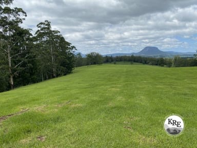 Property 14072 Mount Lindesay Hwy, Woodenbong NSW 2476 IMAGE 0