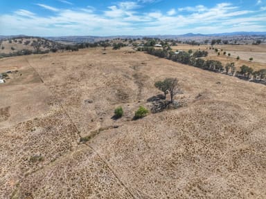 Property Lot 25 Pride of Oak Road, CANOWINDRA NSW 2804 IMAGE 0