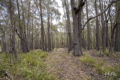 Property 301 Gardiners Creek Road, St Marys TAS 7215 IMAGE 0