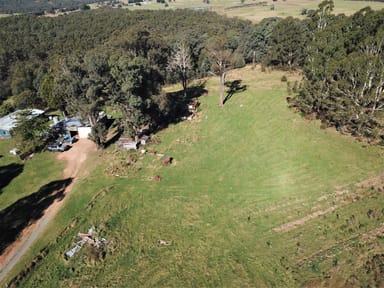 Property 1796 Bendoc-Orbost Road, Bendoc VIC 3888 IMAGE 0