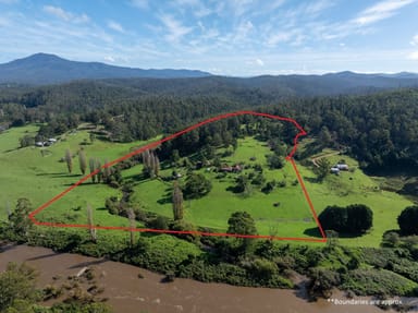 Property 303 The Snake Track KIAH Via, Eden NSW 2551 IMAGE 0