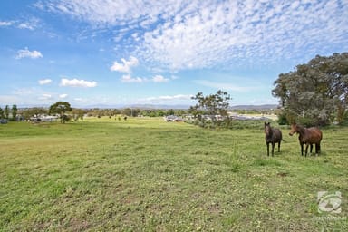 Property 53 Shaw Street, Springdale Heights NSW 2641 IMAGE 0