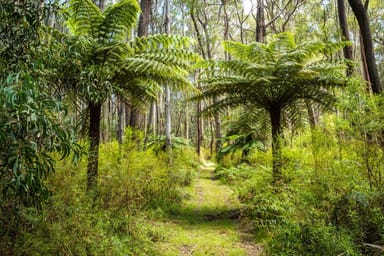 Property Kingfisher Road, WYNDHAM NSW 2550 IMAGE 0