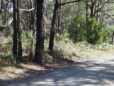 Property Lot 3 Brewsters Road, Yinnar South VIC 3869 IMAGE 0