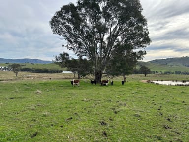 Property Lots 1-2 TP668245 Lake Road,, BETHANGA VIC 3691 IMAGE 0