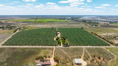 Property 27 Swan Street, RENMARK SA 5341 IMAGE 0